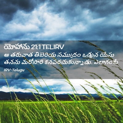 Picture 02 - యోహాను 21:1 TELIRV - ఆ తరువాత తిబెరియ - Bible Verse Picture