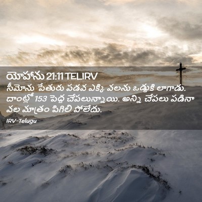 Picture 02 - యోహాను 21:11 TELIRV - సీమోను పేతురు పడవ - Bible Verse Picture