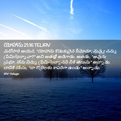 Picture 02 - యోహాను 21:16 TELIRV - మరోసారి ఆయన, - Bible Verse Picture