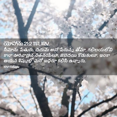 Picture 02 - యోహాను 21:2 TELIRV - సీమోను పేతురు, - Bible Verse Picture