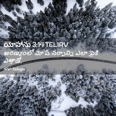Picture 02 - యోహాను 3:14 TELIRV - అరణ్యంలో మోషే - Bible Verse Picture