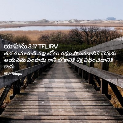 Picture 02 - యోహాను 3:17 TELIRV - తన కుమారుడి వల్ల - Bible Verse Picture