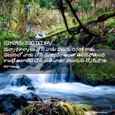 Picture 02 - యోహాను 3:20 TELIRV -  - Bible Verse Picture