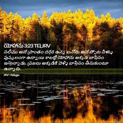 Picture 02 - యోహాను 3:23 TELIRV - సలీము అనే ప్రాంతం - Bible Verse Picture