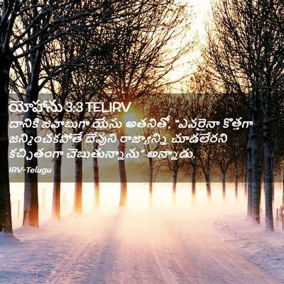 Picture 02 - యోహాను 3:3 TELIRV - దానికి జవాబుగా - Bible Verse Picture