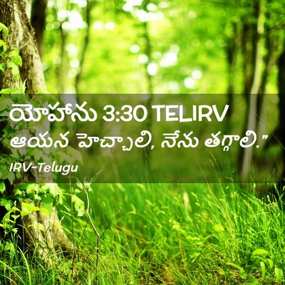 Picture 02 - యోహాను 3:30 TELIRV - ఆయన హెచ్చాలి, నేను - Bible Verse Picture