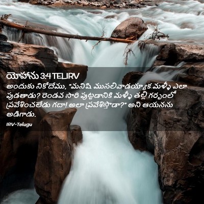 Picture 02 - యోహాను 3:4 TELIRV - అందుకు నికోదేము, - Bible Verse Picture