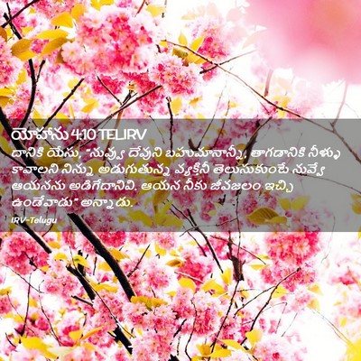 Picture 02 - యోహాను 4:10 TELIRV - దానికి యేసు, - Bible Verse Picture