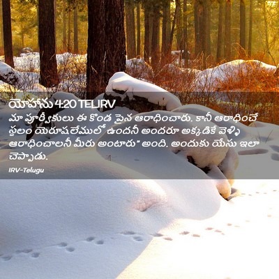 Picture 02 - యోహాను 4:20 TELIRV - మా పూర్వీకులు ఈ - Bible Verse Picture