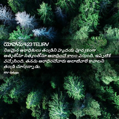 Picture 02 - యోహాను 4:23 TELIRV - నిజమైన ఆరాధికులు - Bible Verse Picture