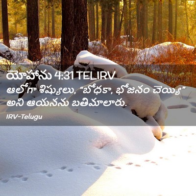 Picture 02 - యోహాను 4:31 TELIRV - ఆలోగా శిష్యులు, - Bible Verse Picture