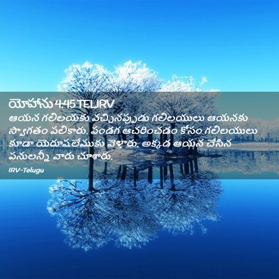 Picture 02 - యోహాను 4:45 TELIRV - ఆయన గలిలయకు - Bible Verse Picture