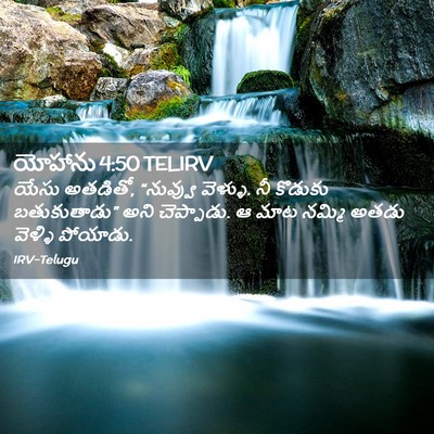 Picture 02 - యోహాను 4:50 TELIRV - యేసు అతడితో, - Bible Verse Picture