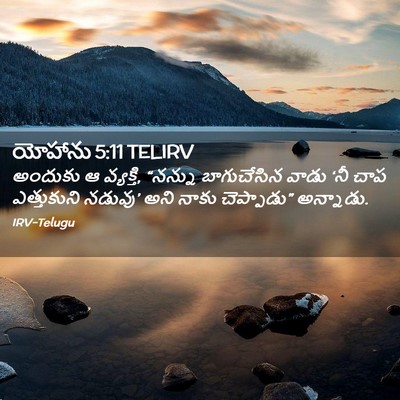 Picture 02 - యోహాను 5:11 TELIRV - అందుకు ఆ వ్యక్తి, - Bible Verse Picture