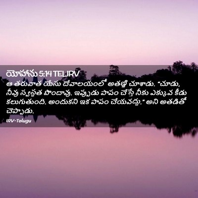 Picture 02 - యోహాను 5:14 TELIRV - ఆ తరువాత యేసు - Bible Verse Picture