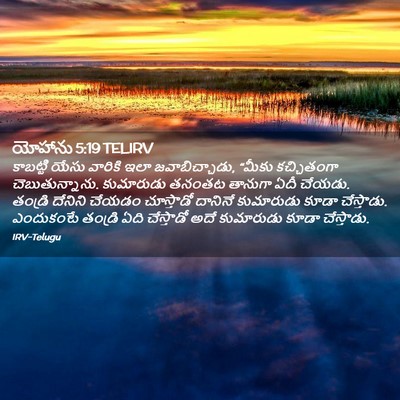 Picture 02 - యోహాను 5:19 TELIRV - కాబట్టి యేసు - Bible Verse Picture