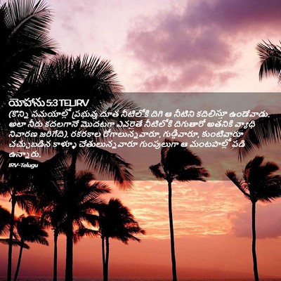 Picture 02 - యోహాను 5:3 TELIRV - (కొన్ని సమయాల్లో - Bible Verse Picture