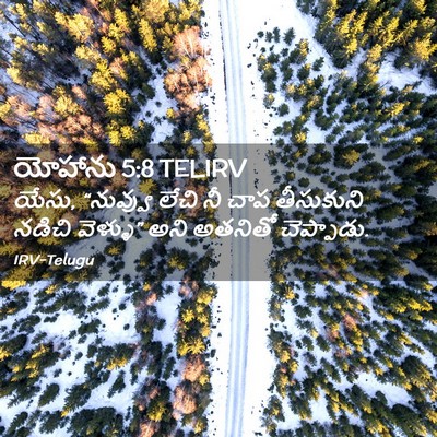 Picture 02 - యోహాను 5:8 TELIRV - యేసు, “నువ్వు లేచి - Bible Verse Picture