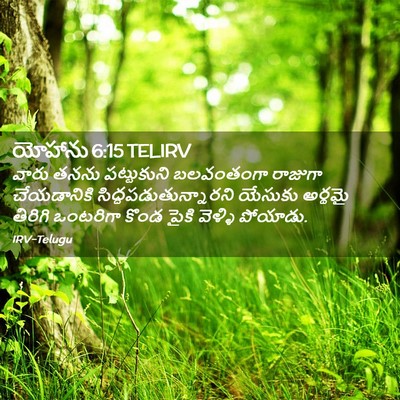 Picture 02 - యోహాను 6:15 TELIRV - వారు తనను - Bible Verse Picture