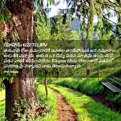 Picture 02 - యోహాను 6:22 TELIRV - తరువాతి రోజు - Bible Verse Picture