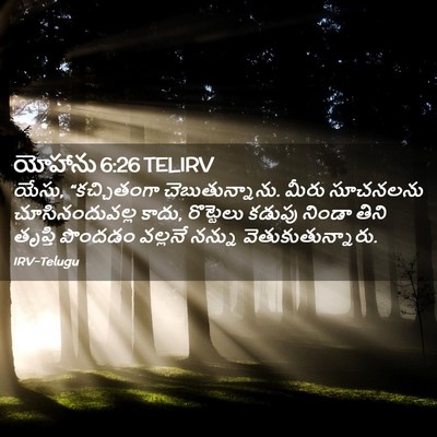 Picture 02 - యోహాను 6:26 TELIRV - యేసు, “కచ్చితంగా - Bible Verse Picture