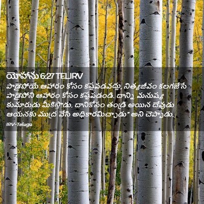 Picture 02 - యోహాను 6:27 TELIRV - పాడైపోయే ఆహారం - Bible Verse Picture