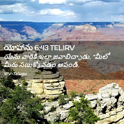 Picture 02 - యోహాను 6:43 TELIRV - యేసు వారికి ఇలా - Bible Verse Picture