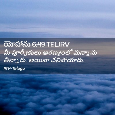 Picture 02 - యోహాను 6:49 TELIRV - మీ పూర్వీకులు - Bible Verse Picture