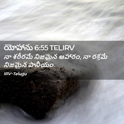 Picture 02 - యోహాను 6:55 TELIRV - నా శరీరమే నిజమైన - Bible Verse Picture