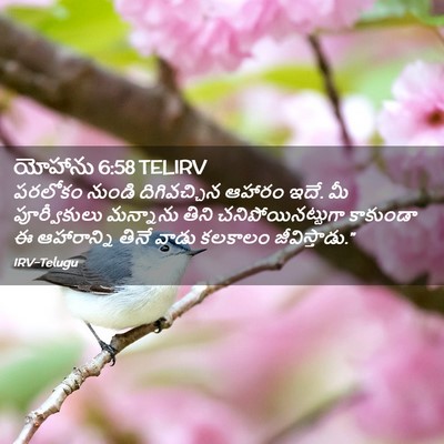 Picture 02 - యోహాను 6:58 TELIRV - పరలోకం నుండి - Bible Verse Picture