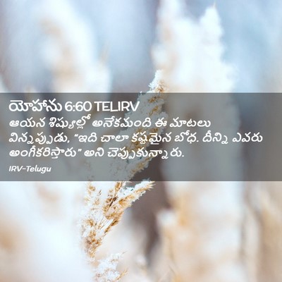 Picture 02 - యోహాను 6:60 TELIRV - ఆయన శిష్యుల్లో - Bible Verse Picture