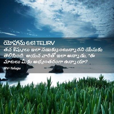 Picture 02 - యోహాను 6:61 TELIRV - తన శిష్యులు ఇలా - Bible Verse Picture