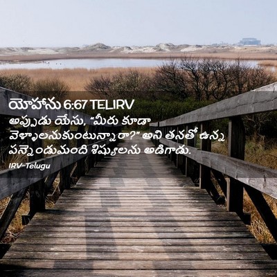 Picture 02 - యోహాను 6:67 TELIRV - అప్పుడు యేసు, - Bible Verse Picture