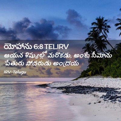 Picture 02 - యోహాను 6:8 TELIRV - ఆయన శిష్యుల్లో - Bible Verse Picture