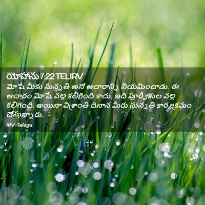 Picture 02 - యోహాను 7:22 TELIRV - మోషే మీకు సున్నతి - Bible Verse Picture