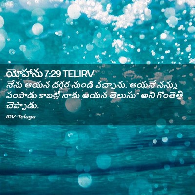 Picture 02 - యోహాను 7:29 TELIRV - నేను ఆయన దగ్గర - Bible Verse Picture