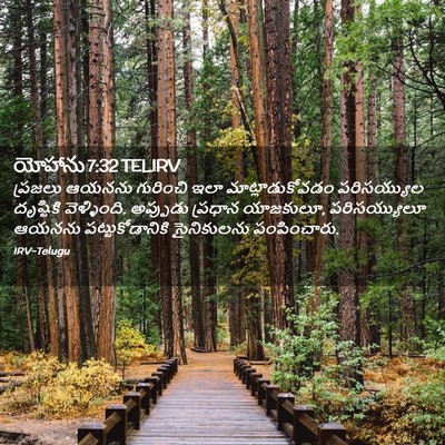 Picture 02 - యోహాను 7:32 TELIRV - ప్రజలు ఆయనను - Bible Verse Picture