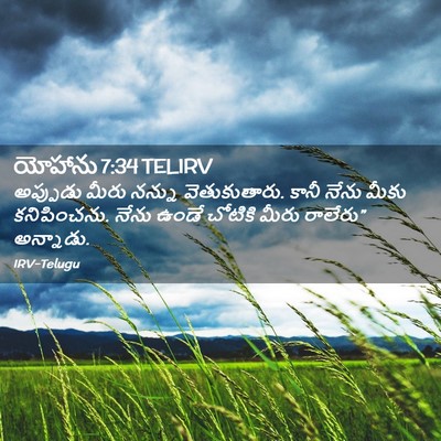 Picture 02 - యోహాను 7:34 TELIRV - అప్పుడు మీరు - Bible Verse Picture