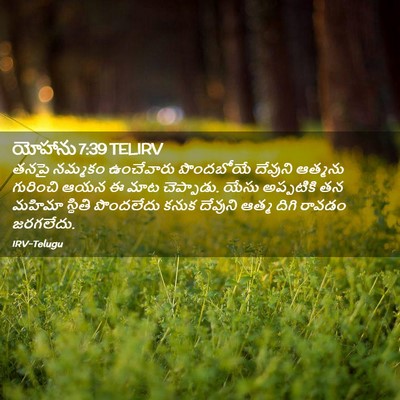 Picture 02 - యోహాను 7:39 TELIRV - తనపై నమ్మకం - Bible Verse Picture