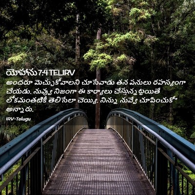 Picture 02 - యోహాను 7:4 TELIRV - అందరూ - Bible Verse Picture