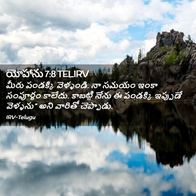 Picture 02 - యోహాను 7:8 TELIRV - మీరు పండక్కి - Bible Verse Picture