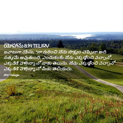 Picture 02 - యోహాను 8:14 TELIRV - జవాబుగా యేసు, “నా - Bible Verse Picture