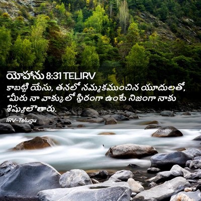 Picture 02 - యోహాను 8:31 TELIRV - కాబట్టి యేసు, తనలో - Bible Verse Picture