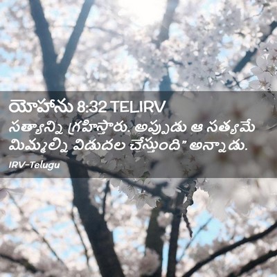 Picture 02 - యోహాను 8:32 TELIRV - సత్యాన్ని - Bible Verse Picture