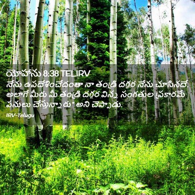 Picture 02 - యోహాను 8:38 TELIRV - నేను - Bible Verse Picture