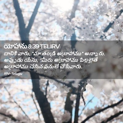 Picture 02 - యోహాను 8:39 TELIRV - దానికి వారు, “మా - Bible Verse Picture