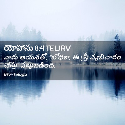 Picture 02 - యోహాను 8:4 TELIRV - వారు ఆయనతో, “బోధకా, - Bible Verse Picture