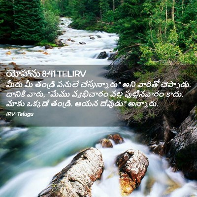 Picture 02 - యోహాను 8:41 TELIRV - మీరు మీ తండ్రి - Bible Verse Picture