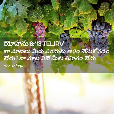 Picture 02 - యోహాను 8:43 TELIRV - నా మాటలు మీరు - Bible Verse Picture