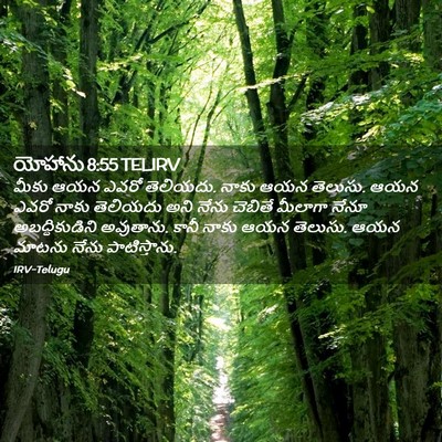 Picture 02 - యోహాను 8:55 TELIRV - మీకు ఆయన ఎవరో - Bible Verse Picture